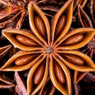 Anis Estrelado Premium | Ca.Nuts | Linha premium de Especiarias (100g) - imagem 4