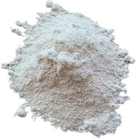 Farinha de Aveia Sem Glúten 1kg - imagem 1