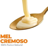 Bisnaga de Mel Cremoso Gold Medal Honey – 4x Medalhista de Ouro na Apimondia | Sabor Suave e Textura Aveludada | 100% Natural, Puro e Sem Aditivos | Ideal para Pães, Torradas e Sobremesas | 300g - imagem 5