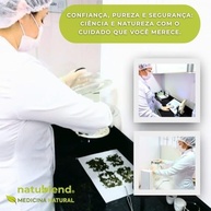 de-importado-do-100g-hibisco-cha-egito