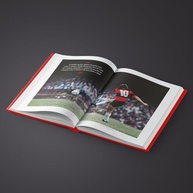 de-inesquecivel-do-zico-70-livro-jornada-quintino-legado-pelo-uma-galinho-a