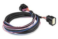 Controle de Ignição MSD 60143 LS: Potencialize seu Motor 24x/58x - imagem 5
