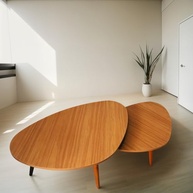 Kit 2 Mesas de Centro Modernas com Design Orgânico - 69/77cm | Versáteis e Resistentes para Sala, Quarto ou Escritório - imagem 2
