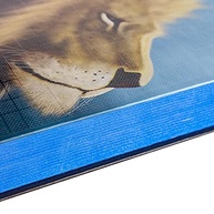 de-naa-sagrada-conforto-palavra-e-grande-biblia-deus-a-clareza-letra-na-a