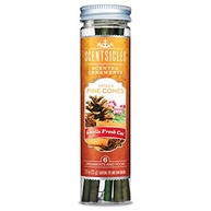 Scentsicles: Ornamentos de Natal Perfumados para Árvore - Aroma Natural de Pinheiro Picante (6 Unidades) - imagem 2