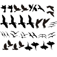 Adesivos de Gaivotas para Vidro - 20 Unidades Decorativas com Design Realístico - imagem 1