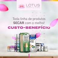 Kit com 3 Unidades de Limpador Perfumado Concentrado Secar 120ml - Lavanda dos Alpes - imagem 3