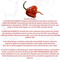 Molho de Pimenta Carolina Reaper Temperada 60 Ml - imagem 4