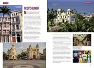 Guia Completo Porto de Galinhas: Férias Inesquecíveis no Nordeste Brasileiro - imagem 3