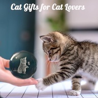 Bola de Cristal 3D com Gato - Presente Encantador para Amantes de Gatos - imagem 5