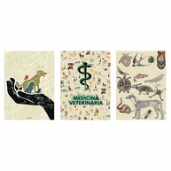 Kit 3 Quadros Decorativos para Consultório de Medicina Veterinária - Design Profissional - imagem 4