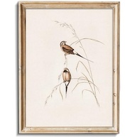 Arte de Parede Vintage Pássaros - Tela Retro Abstrata Decorativa 20,3cm - imagem 2