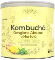 Kombucha Sabor Gengibre + Abacaxi E Hibisco + Cramberry 200gr 1 Pote de Cada - imagem 2