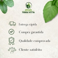 Proteína de Soja Sabor Picanha 1Kg - imagem 2