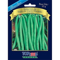 Semente Feijão de Vagem Macarrão Trepador Topseed 10g - imagem 3