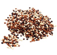 Mix de Quinua 1kg Wenutri - imagem 5
