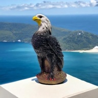 Estátua de Águia em Resina 36 cm - Decoração Moderna para Casa e Escritório - imagem 4