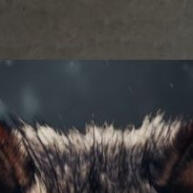 Quadro Lobo Negro: Toque Dark na Sua Decoração - imagem 2