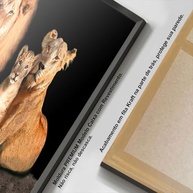 Quadro Decorativo Leão Família Nunca Foi Sorte com Moldura - Impressão 4K para Sala e Quarto - imagem 3