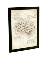 Quadro Decorativo A4 Cérebro Anatomia Projeto Retro Da Vinci - Arte Científica para Decoração - imagem 2