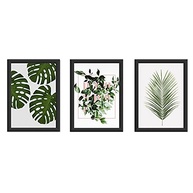 Kit 3 Quadros Decorativos Botânicos 18x24cm com Vidro - Molduras Brancas - imagem 2