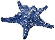 Ornamento Estrela do Mar em Resina Azul Escuro - Ocean Blue Decorglass - imagem 2