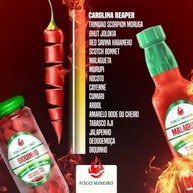 Molho de Pimenta com Tomate Seco Defumada 150ml Fogo Mineiro - imagem 5