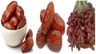 Tâmara Jumbo Premium com Caroço de Israel - Sabor Autêntico (500g) | Delícia Nutritiva e Energética! - imagem 2