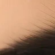 Delineador Gel Preto: À Prova de Manchas e Longa Duração - imagem 1