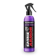 Kit Limpeza Detalhada Shine Armor: Carro Impecável por Dentro e por Fora! - imagem 3