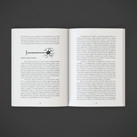 desbloqueie-sua-potencial-maximo-para-neurociencia-do-o-a-seu-lideranca-transforme-e-lideres-cerebro-a