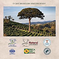 Orfeu Descafeinado: Café Nespresso 10 Cápsulas - imagem 1