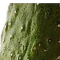 descascador-de-legumes-6-em-1-corte-perfeito-em-1-minuto