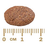Ração Gran Plus Menu Carne e Arroz 16,5kg com Desconto - imagem 2