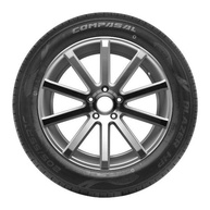 Kit 2 Pneus Compasal Aro 16 205/65R16 Blazer HP 95H: Segurança e Desempenho para Seu SUV - imagem 4