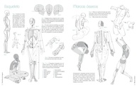 desenho-artistica-de-anatomia-a-domine-o-guia-de-personagens-completo-a