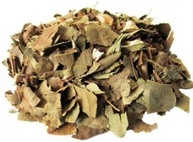Abacate Folha 500Gr (Erva desidratada) - imagem 1