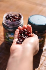 desidratado-frutt-cranberry-160g-brasil-pote