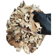 Cogumelo Shimeji Desidratado 100g - imagem 4