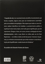 destruicao-a-yanomami-de-xama-queda-e-o-ceu-um-a-do-a-a-floresta-relato-sobre-a