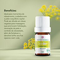 Óleo Essencial Erva-Doce: Calmante e Digestivo - imagem 2