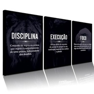 Quadros Decorativos Disciplina Execução Foco Motivacional com Animais - 3 Peças 40x60 cm em MDF Premium - imagem 2