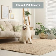 discreto-a-facil-de-xcoui-hd-relogio-1080p-seguranca-e-de-parede-camera-com-monitoramento-a