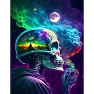 pchmcu Kits de pintura de caveira DIY por números para adultos, pintura por números para adultos lua iniciante, kits de pintura de esqueleto por números em tela sem moldura para decoração de parede de - imagem 1