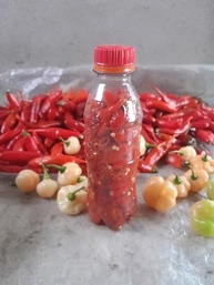 Pimenta em Conserva Natural do Norte de Minas Gerais 200ml - imagem 1