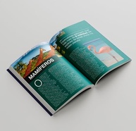 do-3-essenciais-box-biblioteca-com-livros-animais-a-mundo-a