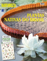 do-mais-a-as-arte-flores-92x60cm-superposter-brasil-nativas-belas-exclusiva-a
