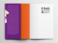 do-maluco-me-a-biografia-a-que-raul-beleza-definitiva-o-contaram-a