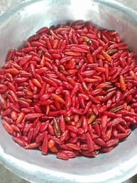 Pimenta em Conserva Natural do Norte de Minas Gerais 200ml - imagem 3