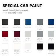 Tinta de Retoque para Carros Dodge - Cor Arenito/Caxemira (PFS/KFS) - Alta Qualidade e Durabilidade - imagem 3